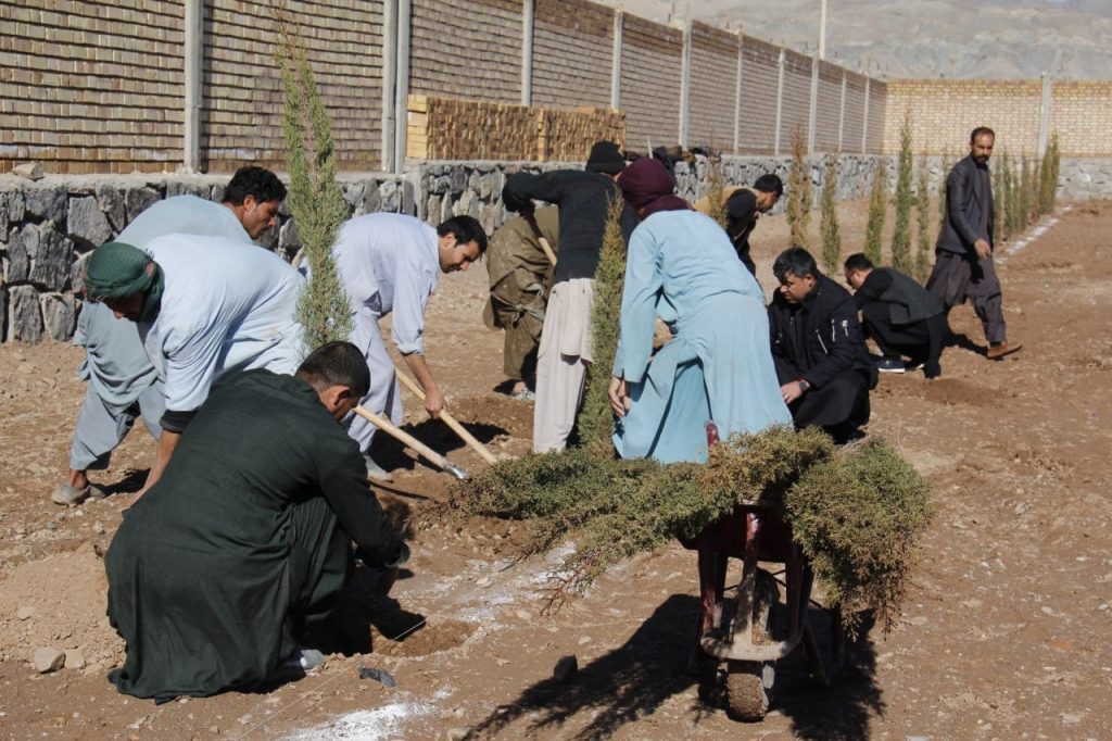 Group of people planting trees in dirt